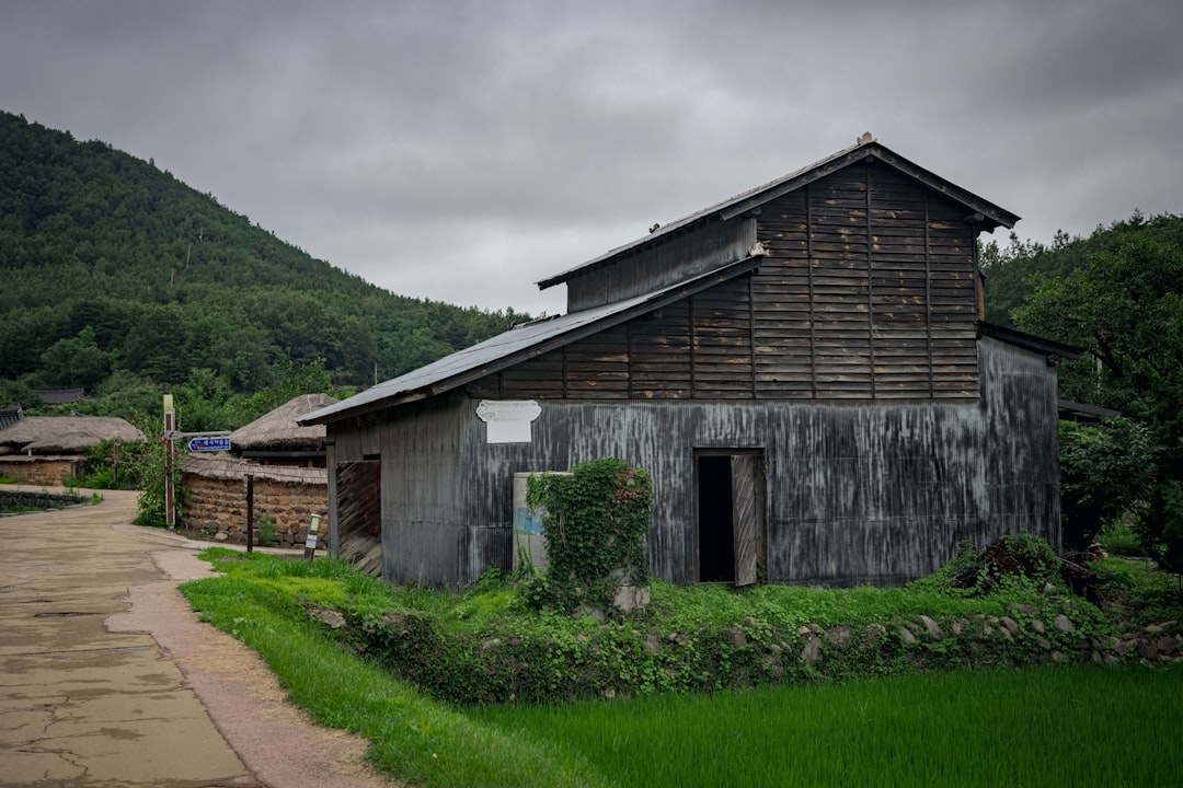 wood burning boiler, rural house heating Korea