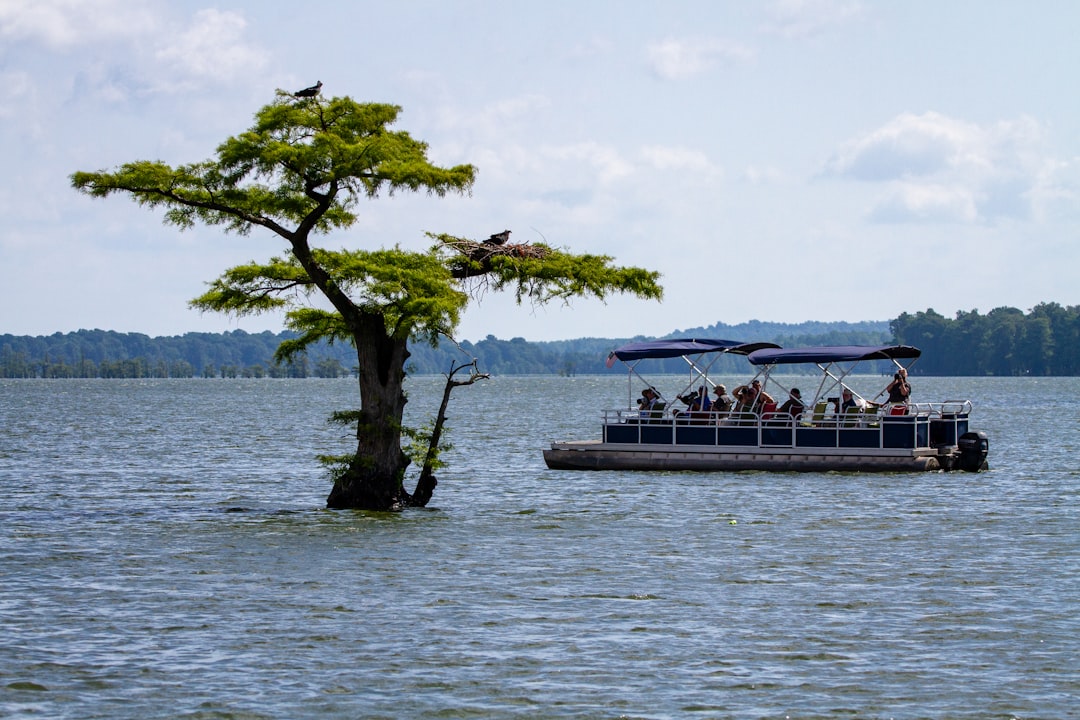 pontoon boat on lake, summer pontoon party boat