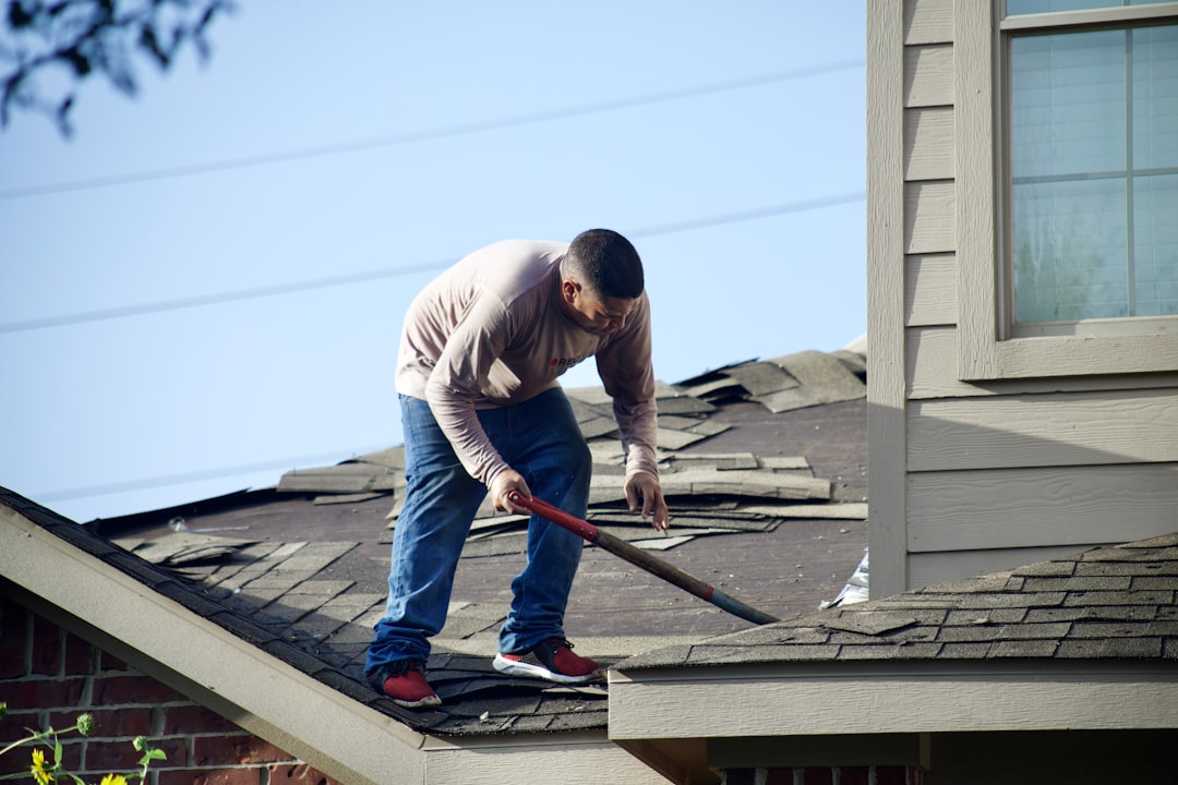 roof replacement shingles contractor inspection