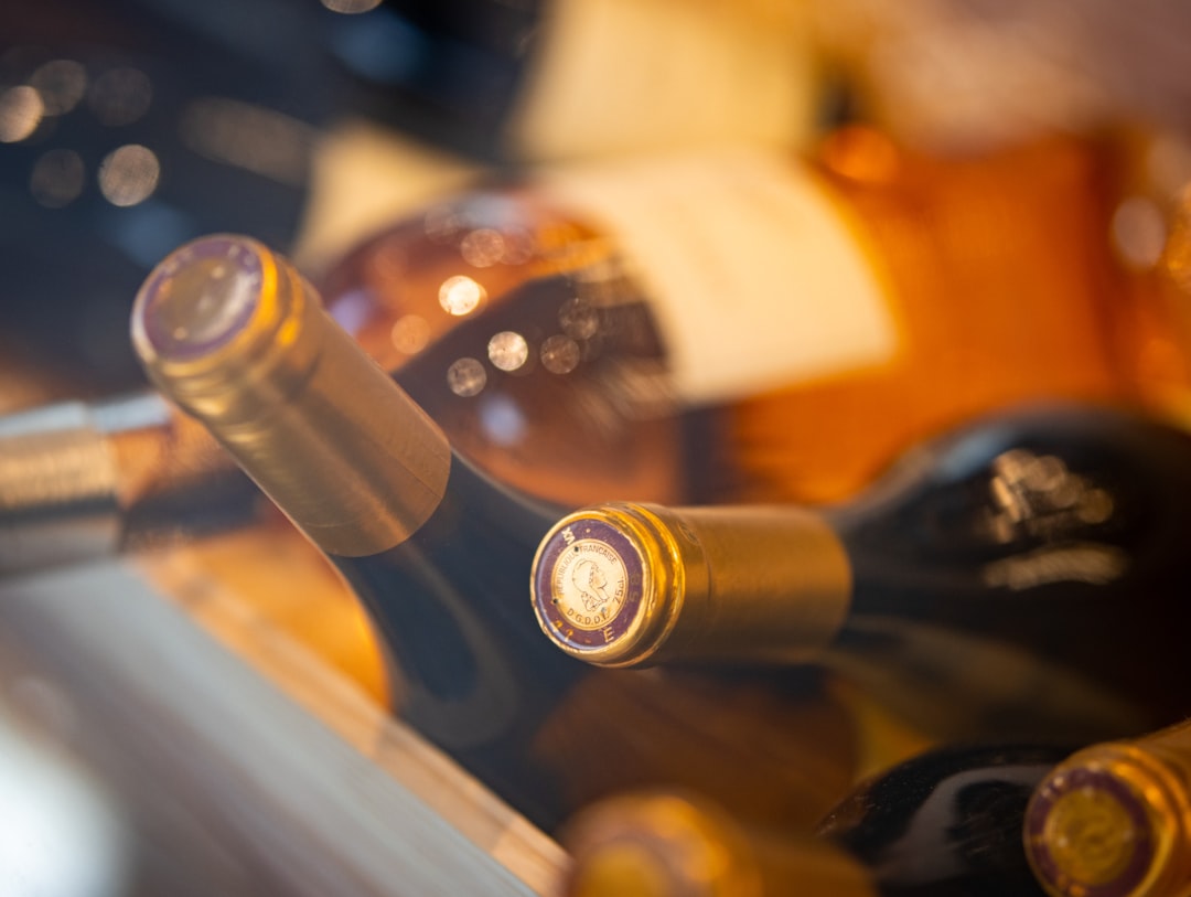 wine storage temperature comparison refrigerator vs wine cooler