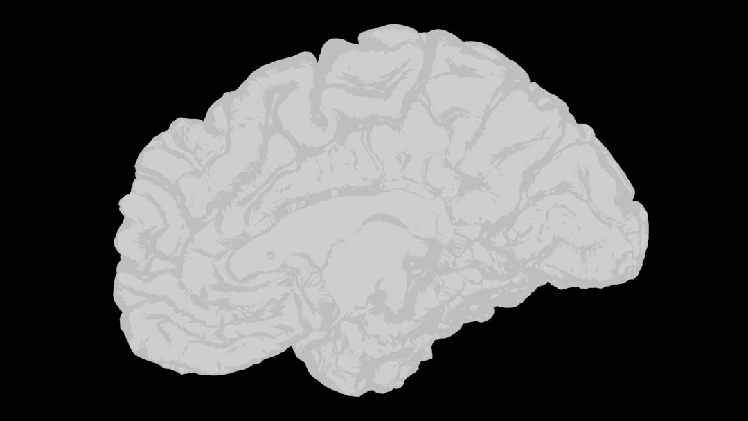 prefrontal cortex child development, working memory training kids